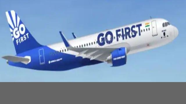 The-bird-hit-the-Go-First-plane-