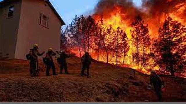 A-terrible-fire-in-the-forests-o