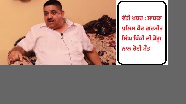 Big-news-Former-police-cat-Gurme