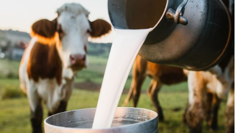 Virus-Found-In-Milk-Deadly-Virus