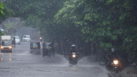 -Weather-In-Punjab-Meteorologica