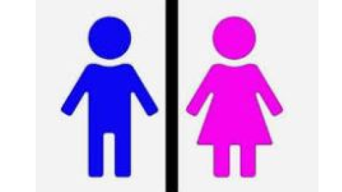 New-Report-Of-Gender-Ratio-In-Pu