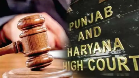 High-Court-Issues-Order-Bans-New