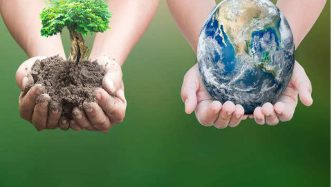 Contribute-To-The-Purity-Of-The-