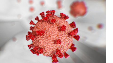 Corona-Virus-Third-Death-Due-To- Corona-Virus-Third-Death-Due-To-