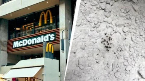 ਮੁੰਬਈ ਚ McDonald’s ਆਊਟਲੈਟ ਦਾ ਲਾਇਸੈਂਸ ਸਸਪੈਂਡ, FDA ਨੂੰ ਮਿਲੀਆਂ 